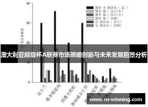 澳大利亚超级杯A联赛市场策略创新与未来发展前景分析