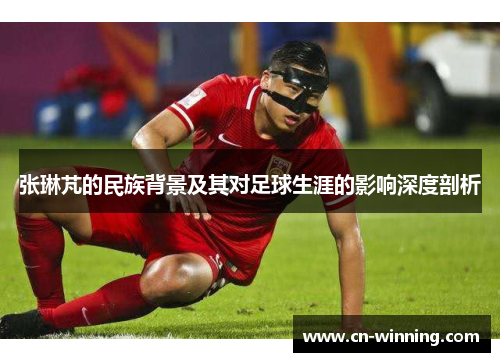 张琳芃的民族背景及其对足球生涯的影响深度剖析